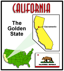 State info